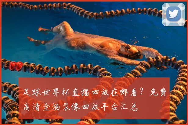 足球世界杯直播回放在哪看？免费高清全场录像回放平台汇总
