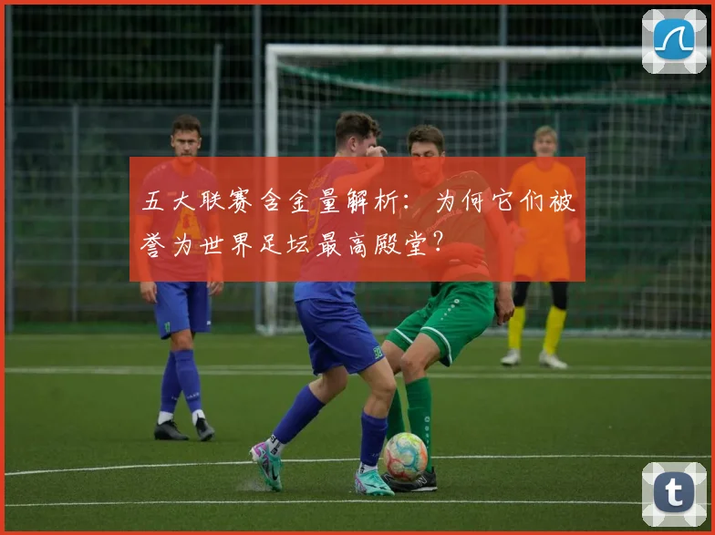 五大联赛含金量解析：为何它们被誉为世界足坛最高殿堂？